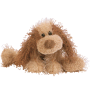 Shreds le chien