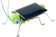 Criquet solaire