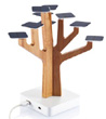 Arbre solaire