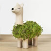 Lama  planter