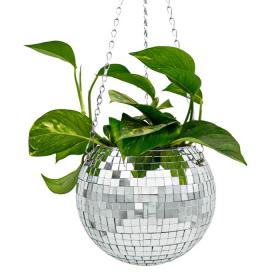 Pot  plantes Disco