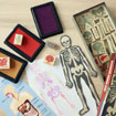 Anatomy Stamps