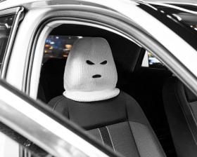 Cagoules pour auto (x2)