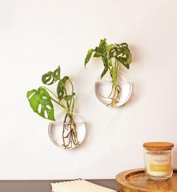 Vases muraux (x2)