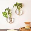 Vases muraux (x2)