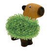 Capybara Chia Planter
