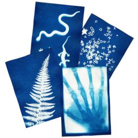 Papiers photographiques