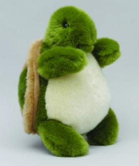 Plumpee Tortue