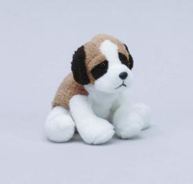 Tummy Tum Chien