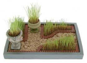 Jardin Miniature