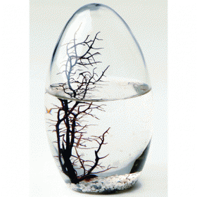 Atlantic Ecosphere - Pod