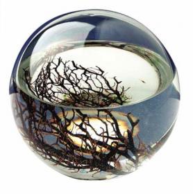 Atlantic Ecosphere - XL