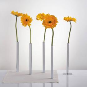 Vases Magnetic