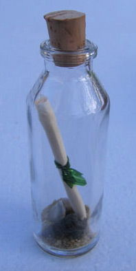 Mini Ocean Bottle