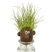 Mr. Grasshead