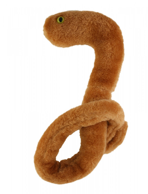 Peluche microbe du bactériophage T4