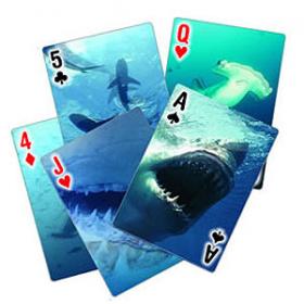 Cartes 3D requins