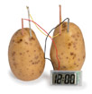 Patate Horloge