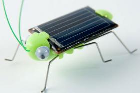 Solar cricket