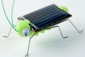 Criquet solaire