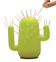 Cactus à cure-dents