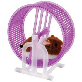 Hamster et roue