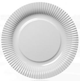 Picnic Plate