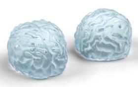 Brain Ice