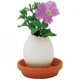 Oeuf magique Eggling - Petunia