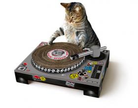 DJ minou