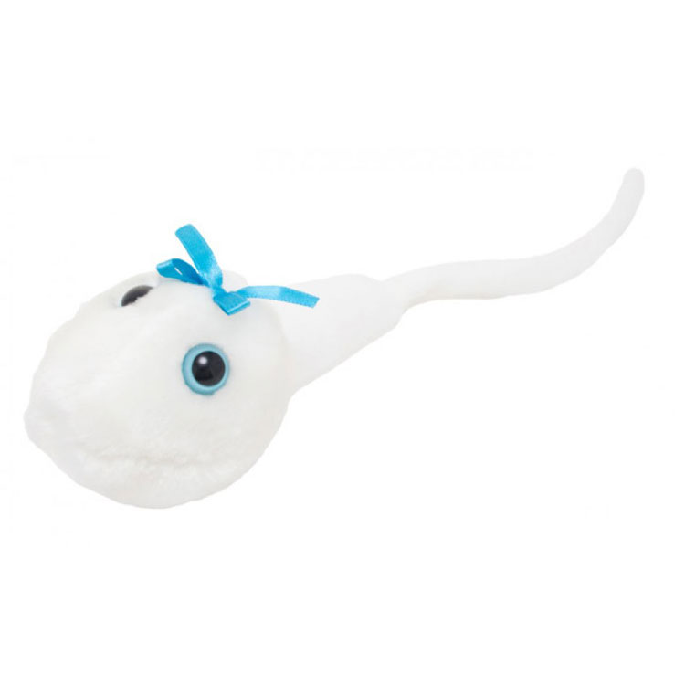 Peluche Spermatozoïde, Jeux & peluches