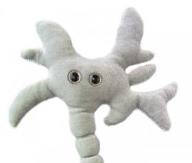 neurone peluche