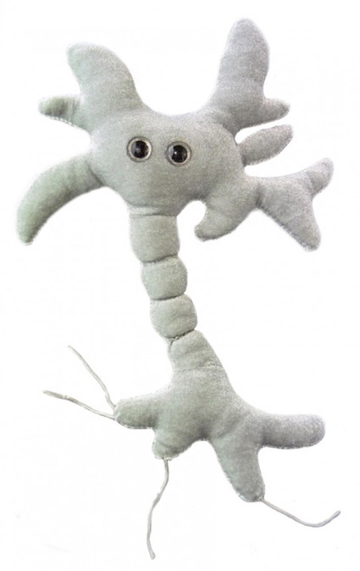 Peluche microbe du bactériophage T4