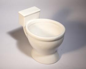 Toilet mug