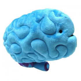 Brain Plush