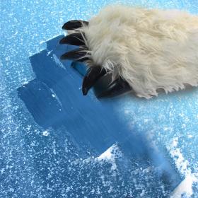 Yeti Ice Scraper