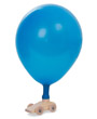 Balloon Car