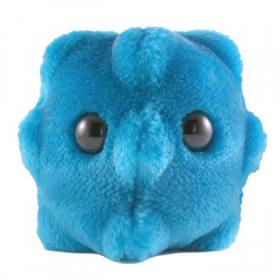 Peluche Rhume