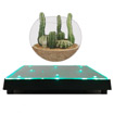 Plante en lévitation Plante en lévitation