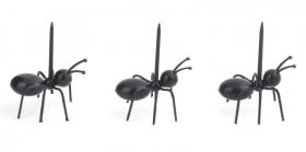 20 Ants Party Picks