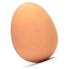 Bouncing Egg