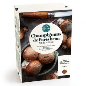 Coffret champignons