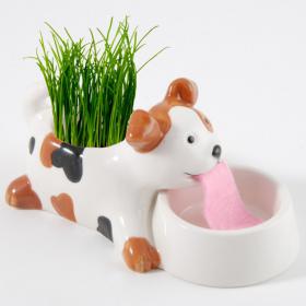 Grass Dog
