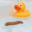 Bath plug "Poo"