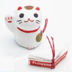 Fortune Cat