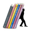 "Too Many Books" Bookend